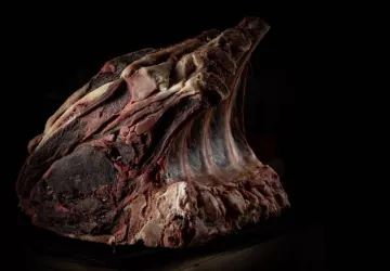 LE RESTAURANT - AU MENU