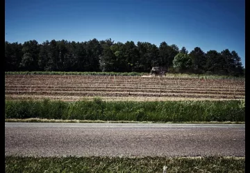 VG_BFC_MILLE_TRUFFES_©CHERRYSTONE_020619_135