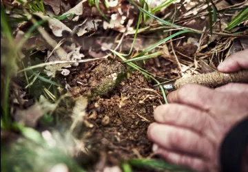 VG_BFC_MILLE_TRUFFES_©CHERRYSTONE_020619_195