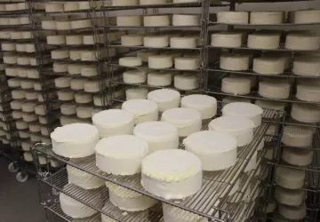 Affinage des fromages