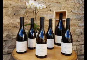 photos présentation de bouteille