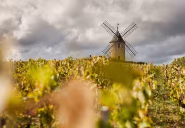 Maison Louis JADOT 111