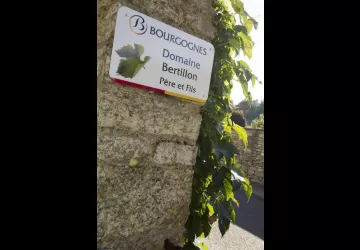 Domaine Bertillon Père et Fils