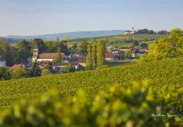 Viré