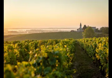 Cave de vire