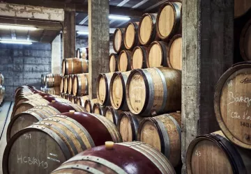 VG_BFC_©CHERRYSTONE_060120_CAVE_HAUTES_COTES_NUITON_062