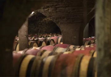 Nos caves du XVème siècle