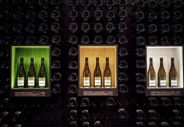 VG_BFC_©CHERRYSTONE_161219_DOMAINE_CHASSELAS_090