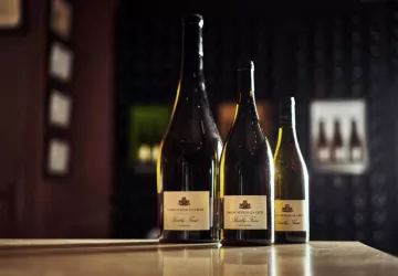 VG_BFC_©CHERRYSTONE_161219_DOMAINE_CHASSELAS_100