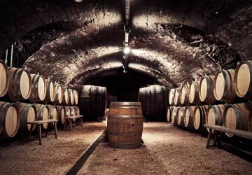 VG_BFC_©CHERRYSTONE_161219_DOMAINE_CHASSELAS_109