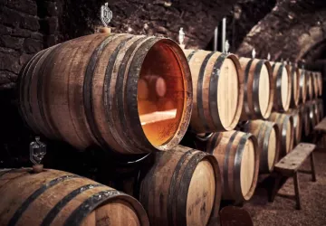 VG_BFC_©CHERRYSTONE_161219_DOMAINE_CHASSELAS_117