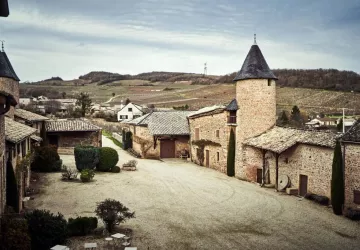 VG_BFC_©CHERRYSTONE_161219_DOMAINE_CHASSELAS_124