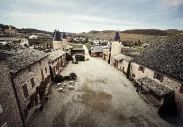 VG_BFC_©CHERRYSTONE_161219_DOMAINE_CHASSELAS_133