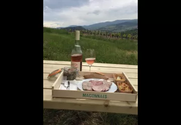 18452134_789243917902139_955455416_o