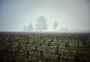 VG_BFC_©CHERRYSTONE_031219_CHATEAU_MEURSAULT_024