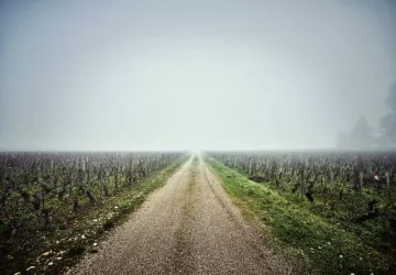 VG_BFC_©CHERRYSTONE_031219_CHATEAU_MEURSAULT_028