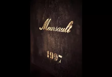 VG_BFC_©CHERRYSTONE_031219_CHATEAU_MEURSAULT_088