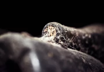 VG_BFC_©CHERRYSTONE_031219_CHATEAU_MEURSAULT_093