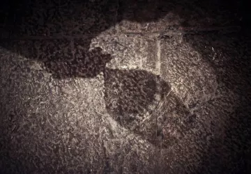 VG_BFC_©CHERRYSTONE_031219_CHATEAU_MEURSAULT_117