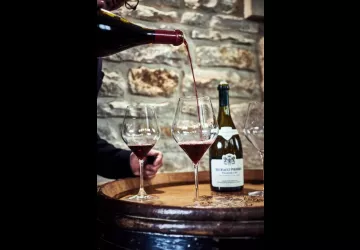 VG_BFC_©CHERRYSTONE_031219_CHATEAU_MEURSAULT_212