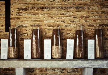 VG_BFC_©CHERRYSTONE_031219_CHATEAU_POMMARD_275