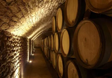 Caves André delorme