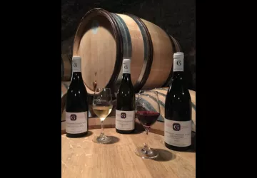 Mise-en-scene-bouteille