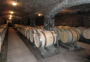 Cave Domaine Philippe Gavignet