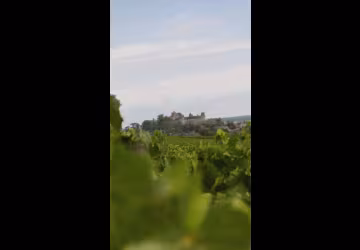 Domaine Ninot - Depuis Grésigny