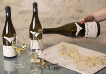 Domaine Ninot-65 Copyright Michel JOLY