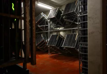 VITTEAUT-ALBERTI 096