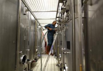 VITTEAUT-ALBERTI 169 VITTEAUT-ALBERTI 169