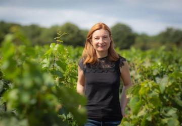 Vittault Alberti Rully 1 Vittault Alberti Rully 1