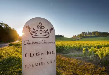 Château de Chamirey