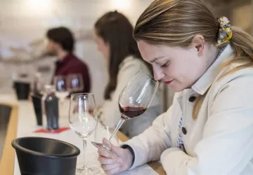 Dufouleur freres-343