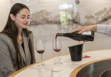 Dufouleur freres-361